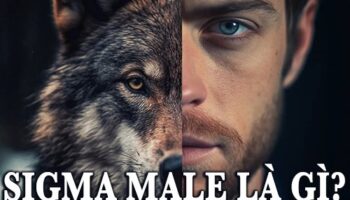 sigma male là gì?