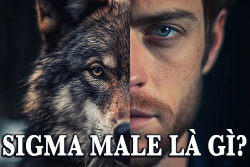 sigma male là gì?